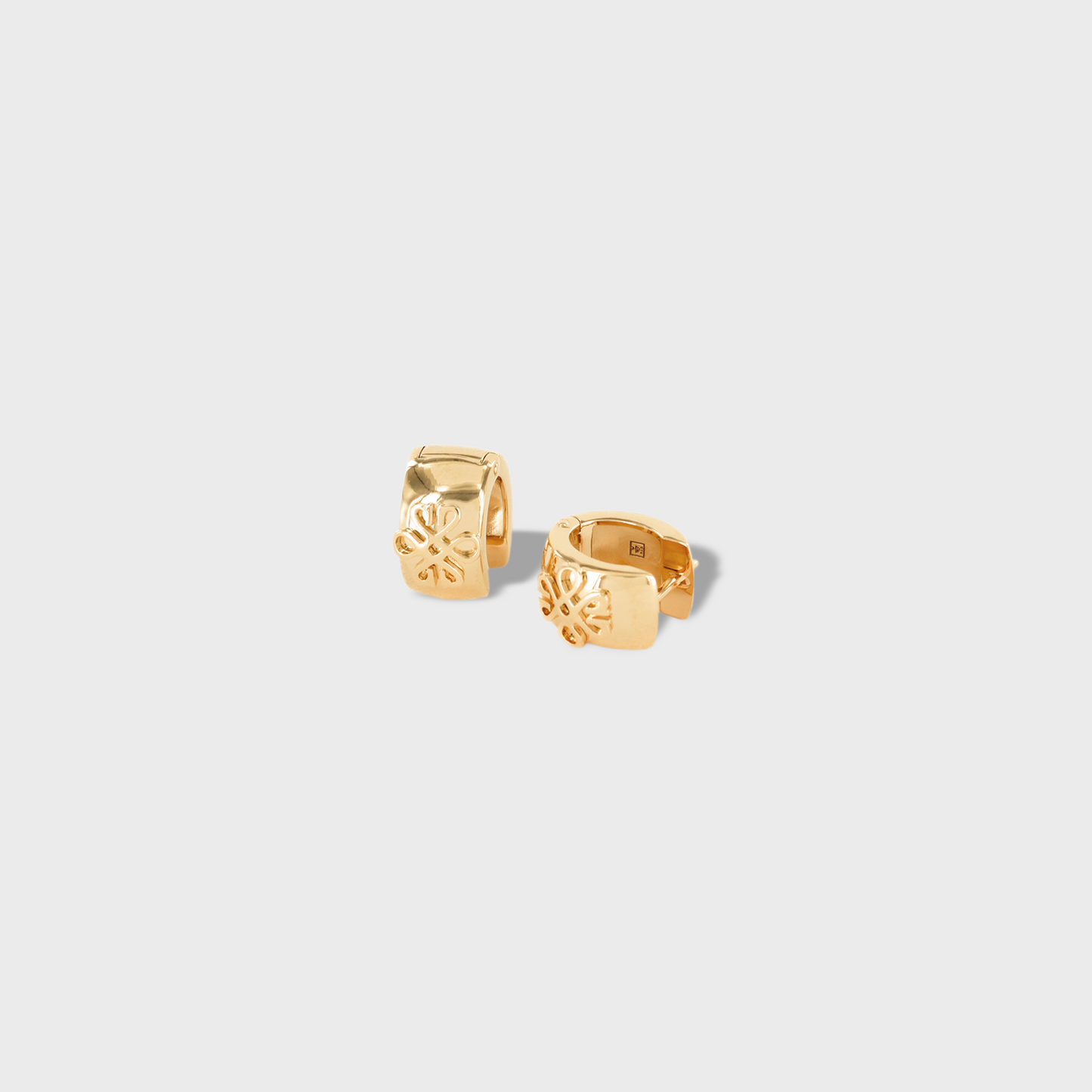 Boucles d'oreilles Élégant